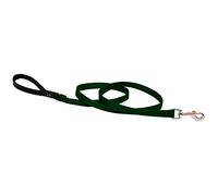 Lupine Padded Handle Dog Lead, 1/2-inch/ 4 ft, Green