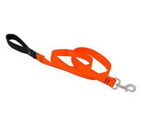 Lupine Padded Handle Dog Lead, 1-inch/ 6 ft, Blaze Orange