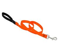 Lupine Padded Handle Dog Lead, 3/4-inch/ 4 ft, Blaze Orange