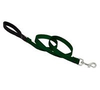 Lupine Padded Handle Dog Lead, 3/4-inch/ 4 ft, Green