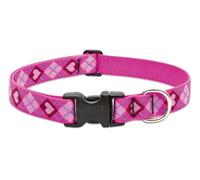 Lupine Puppy Love Patterned Adjustable Dog Collar for Medium/ Large Dogs, 1-inch/ 12 - 20-inch