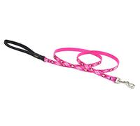 Lupine Puppy Love Patterned Padded Handle Dog Lead, 1/2-inch/ 4 ft