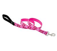 Lupine Puppy Love Patterned Padded Handle Dog Lead, 1-inch/ 4 ft