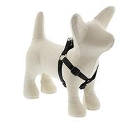 Lupine Step-In Harness for Small Dogs, 1/2-inch/ 10 - 13-inch, Black