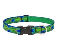 Lupine Tail Feathers Patterned Adjustable Dog Collar for Large Dogs, 1-inch/ 16 - 28-inch