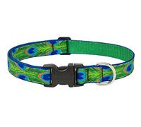 Lupine Tail Feathers Patterned Adjustable Dog Collar for Medium/ Large Dogs, 1-inch/ 12 - 20-inch