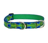 Lupine Tail Feathers Patterned Combo Collar for Large Dogs, 1-inch/ 15 - 22-inch