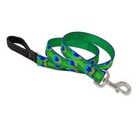 Lupine Tail Feathers Patterned Padded Handle Dog Lead, 1-inch/ 4 ft