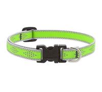LupinePet High Lights 1/2" Width, 8-12" Adjustable Collar for Small Dogs, Green Diamond