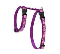 LupinePet Originals 1/2" Rose Garden 12-20" H-style Harness for Small Pets