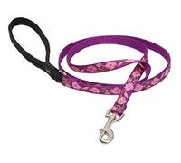 LupinePet Originals 1/2" Rose Garden 4-foot Padded Handle Leash for Small Pets