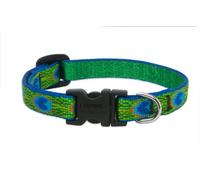 LupinePet Originals 1/2" Tail Feathers 10-16" Adjustable Collar for Small Dogs