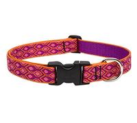 LupinePet Originals 1" Alpen Glow 16-28" Adjustable Collar for Large Dogs