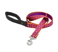 LupinePet Originals 1" Alpen Glow 6-Foot Padded Handle Leash for Medium and Larger Dogs