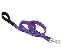 LupinePet Originals 1" Jelly Roll 4-foot Padded Handle Leash for Medium and Larger Dogs