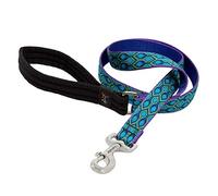 LupinePet Originals 1" Rain Song 4-foot Padded Handle Leash for Medium and Larger Dogs