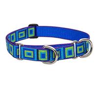 LupinePet Originals 1" Sea Glass 15-22" Martingale Collar for Medium and Larger Dogs