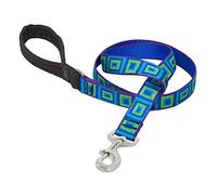 LupinePet Originals 1" Sea Glass 6-Foot Padded Handle Leash for Medium and Larger Dogs