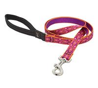LupinePet Originals 3/4" Alpen Glow 4-foot Padded Handle Leash for Medium and Larger Dogs