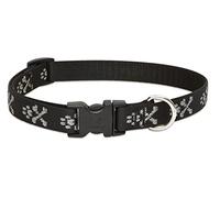 LupinePet Originals 3/4" Bling Bonz 9-14" Adjustable Collar for Small Dogs