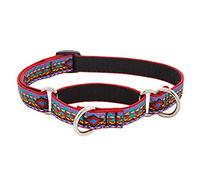 LupinePet Originals 3/4" El Paso 14-20" Martingale Collar for Medium Dogs