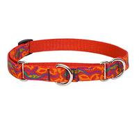 LupinePet Originals 3/4" Go Go Gecko 14-20" Martingale Collar for Medium and Larger Dogs
