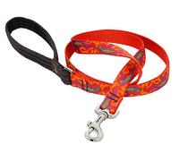 LupinePet Originals 3/4" Go Go Gecko 4-Foot Padded Handle Leash for Medium and Larger Dogs
