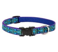 LupinePet Originals 3/4" Rain Song 13-22" Adjustable Collar for Medium and Larger Dogs