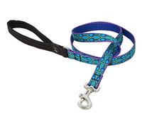 LupinePet Originals 3/4" Rain Song 6-Foot Padded Handle Leash for Medium and Larger Dogs