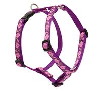 LupinePet Originals 3/4" Rose Garden 12-20" Adjustable Roman Dog Harness for Small Dogs