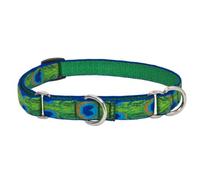 LupinePet Originals 3/4" Tail Feathers 10-14" Martingale Collar for Small Dogs