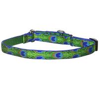 LupinePet Originals 3/4" Tail Feathers 14-20" Martingale Collar for Medium and Larger Dogs
