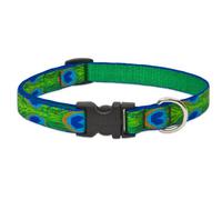 LupinePet Originals 3/4" Tail Feathers 9-14" Adjustable Collar for Small Dogs