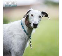 Lurcher 2026 Traditional Calendar