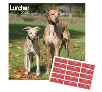 Lurcher Calendar 2026 | Square Dog Breed Wall Calendar | 12 Month | Jan to Dec 2026 | With FREE Organisational Stickers