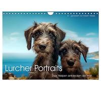 Lurcher Portraits - Two puppies discover the world UK-Version (Wall Calendar 2026 DIN A4 Landscape), CALVENDO 12 Month Wall Calendar
