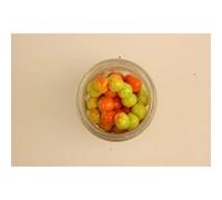 Lure Berkley Ferb Fltg Mag Egg Multicolore TU