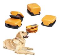 Lure Course Machine for Dogs - Interactive Pet Chase Toy, Agility Training Equipment, Remote-Controlled Chase Toy for Dogs, Ultimate Dog Play and Training Solution