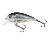 Salmo Butcher 5cm Holographic Real Dace Pike and Predator Fishing Sinking Lure