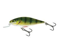 Lure Salmo IEX12SR Holgraphic Doré 12 cm