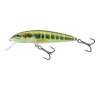Lure Salmo Minnow SNK 5g Multicolore 5 cm