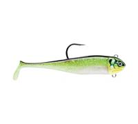 Biscay Minnow 14-34G CGR