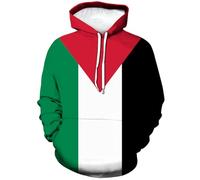 Lurhonp Palestinian Flag Long Sleeve Hoodie Sweatshirt, Multicolor, 4XL
