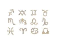 Lurrose 12pcs Zodiac Sign Rhinestone Alloy 3D Nail Art Decoratives DIY Manicure Ornaments for Nail Craft Chic Small for Creative