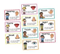 Lurrose 2 Sets Visual Stimulation Flashcards for Sensory Development Cognitive Learning Cards for Early Education Tool for Home and Classroom Use