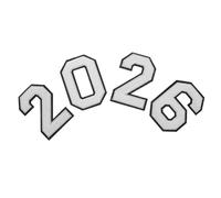 Lurrose 4pcs Digital Stickers Iron on Number Patches Clothing Repair Patches Number Appliques 2026 Appliques Towel Embroidery
