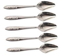 Lurrose 5Pcs Rustproof Metal Parrot Feeding Spoon Multi-function Bird Spoon with Small Head for Easy Feeding Parrots Budgerigars and Pet Birds at Home Pet Shop