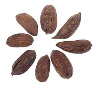 Lurrose 8pcs Natural Dried Nut Foraging for Parrot Chewing Bird Shredding Accessories Suitable for Cage Play and Beak Grinding