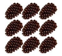 Lurrose 9pcs Natural Large Dried Pine Cones for DIY Crafting and Photo Props Lightweight Garland Pine Cones Decoration for Christmas Tree Wreaths and Holiday