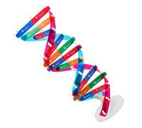 Lurrose Assembling Dna Display Stand Double Helix Human Genes Learning Toy Biological Teaching Aid Science Dna Molecular Model Kit Double Helix Model Kit